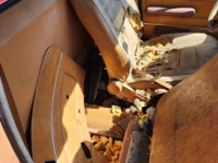 1981 Volkswagen Rabbit for sale in Michigan (ID-140979)