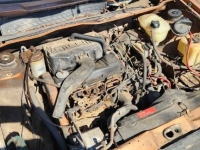 1981 Volkswagen Rabbit for sale in Michigan (ID-140979)