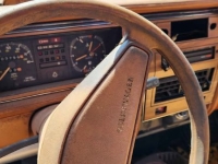 1981 Volkswagen Rabbit for sale in Michigan (ID-140979)