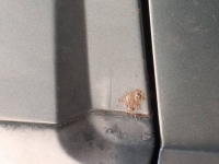 1981 Volkswagen Rabbit for sale in Michigan (ID-145993)