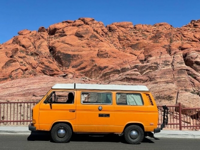 1981 Volkswagen Vanagon for sale