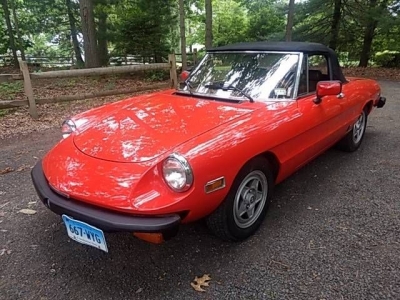 1982 Alfa Romeo Spider Veloce for sale