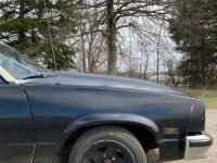1982 Chevrolet El Camino for sale in Michigan (ID-88433)
