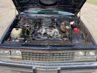 1982 Chevrolet El Camino for sale in Michigan (ID-88433)
