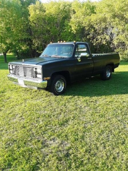1982 Chevrolet C10 for sale in Michigan (ID-92716)