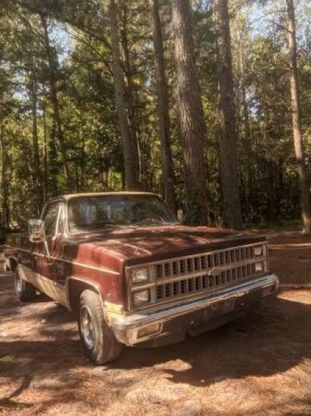 1982 Chevrolet Silverado for sale in Michigan (ID-93720) 1982 Chevrolet Silverado for sale in Michigan (ID-93720)
