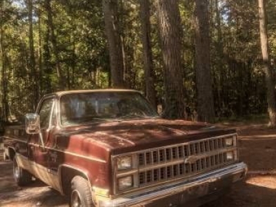 1982 Chevrolet Silverado for sale