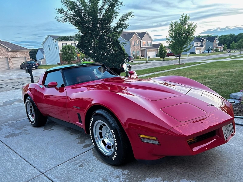 1982 Chevrolet Corvette for sale in Plainfield (Illinois), Illinois (ID-122618) 1982 Chevrolet Corvette for sale in Plainfield (Illinois), Illinois (ID-122618)