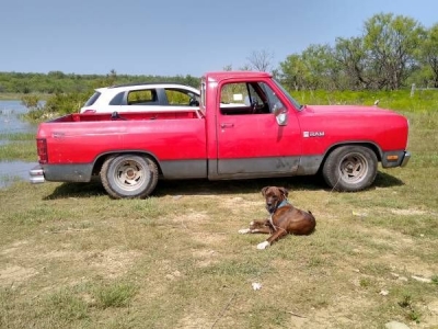 1982 Dodge D150 for sale