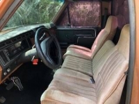 1982 Ford F150 for sale in Michigan (ID-82870)