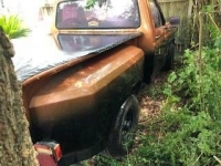 1982 Ford F150 for sale in Michigan (ID-82870)