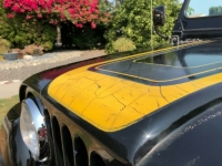 1982 Jeep CJ for sale in Michigan (ID-92160)