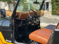 1982 Jeep CJ for sale in Michigan (ID-92160)