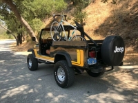 1982 Jeep CJ for sale in Michigan (ID-92160)