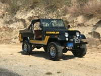1982 Jeep CJ for sale in Michigan (ID-92160)