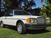 1982 Mercedes-Benz 300CD for sale in Michigan (ID-92698)