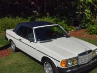 1982 Mercedes-Benz 300CD for sale in Michigan (ID-92698)