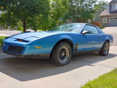 1982 Pontiac Firebird for sale