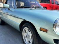 1982 Alfa Romeo Spider for sale in Michigan (ID-136915)