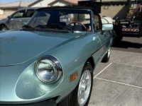 1982 Alfa Romeo Spider for sale in Michigan (ID-136915)