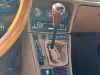 1982 Alfa Romeo Spider for sale in Michigan (ID-136915)