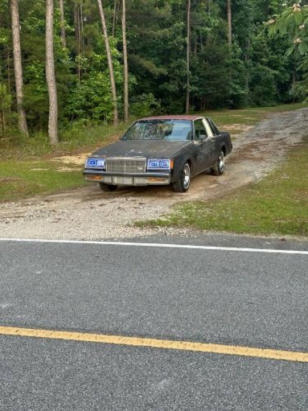 1982 Buick Regal for sale in Michigan (ID-134330)