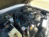 1982 Buick Riviera for sale in Michigan (ID-130813)