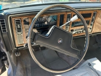 1982 Buick Riviera for sale in Michigan (ID-130813)