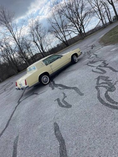 1982 Cadillac Eldorado for sale in Michigan (ID-115008) 1982 Cadillac Eldorado for sale in Michigan (ID-115008)