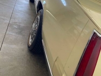 1982 Cadillac Eldorado for sale in Michigan (ID-115008)