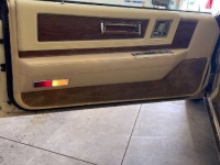 1982 Cadillac Eldorado for sale in Michigan (ID-115008)