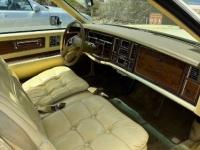1982 Cadillac Eldorado for sale in Michigan (ID-134407)