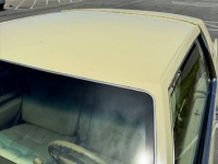 1982 Cadillac Eldorado for sale in Michigan (ID-134407)