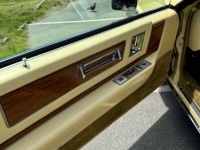 1982 Cadillac Eldorado for sale in Michigan (ID-134407)