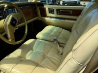 1982 Cadillac Eldorado for sale in Michigan (ID-134407)