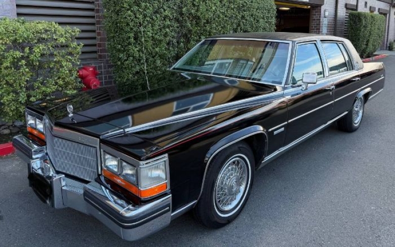 1982 Cadillac Fleetwood for sale in Michigan (ID-161702)