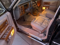 1982 Cadillac Fleetwood for sale in Michigan (ID-161702)