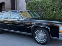 1982 Cadillac Fleetwood for sale in Michigan (ID-161702)