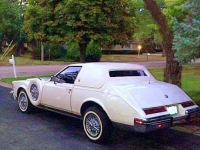 1982 Cadillac Seville for sale in Michigan (ID-127368)