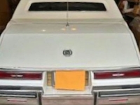1982 Cadillac Seville for sale in Michigan (ID-127368)