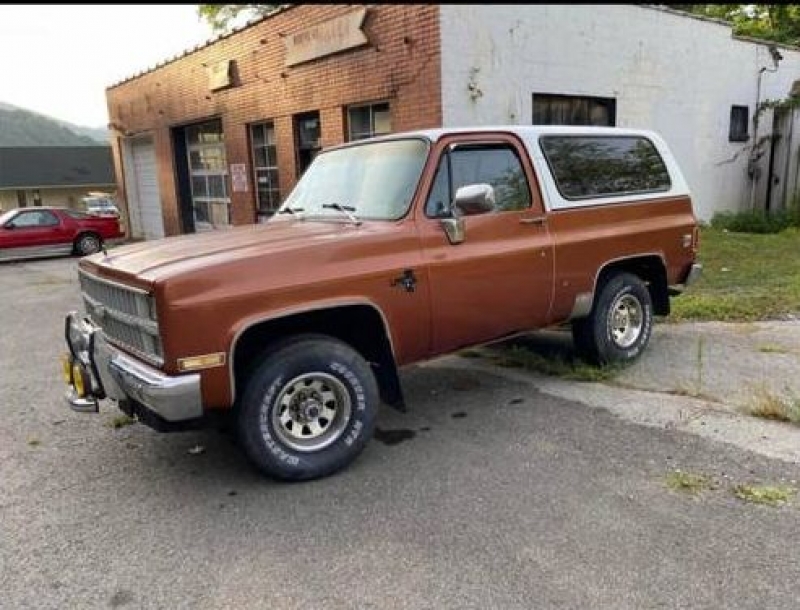 1982 Chevrolet Blazer for sale in Michigan (ID-97136) 1982 Chevrolet Blazer for sale in Michigan (ID-97136)