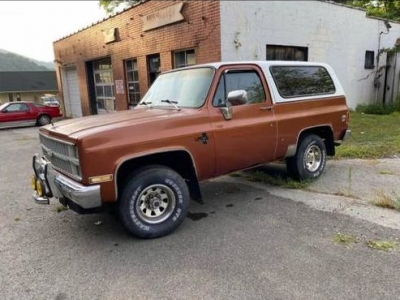 1982 Chevrolet Blazer for sale