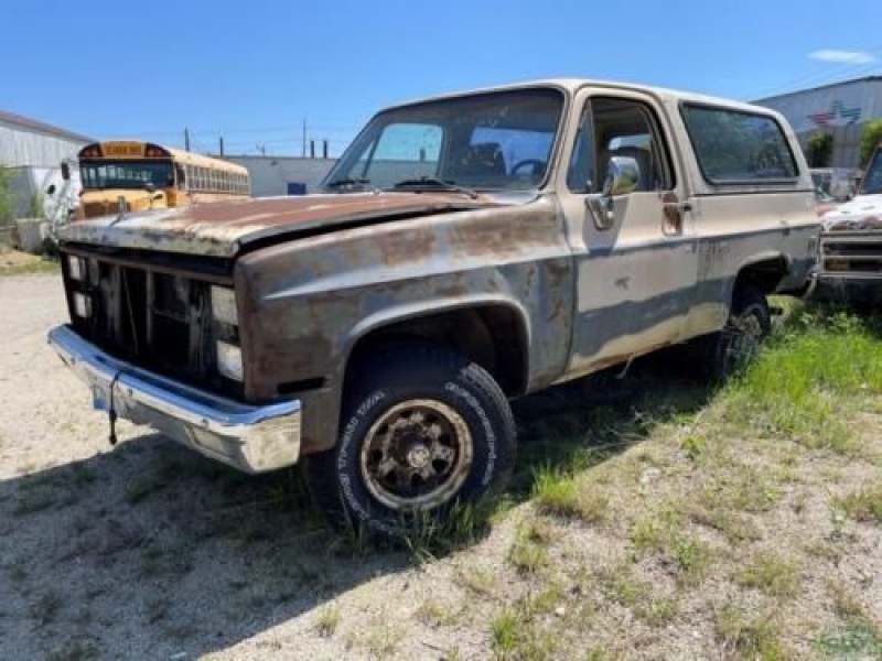 1982 Chevrolet Blazer for sale in Michigan (ID-102142)