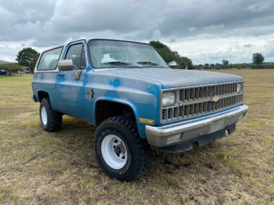 1982 Chevrolet Blazer for sale