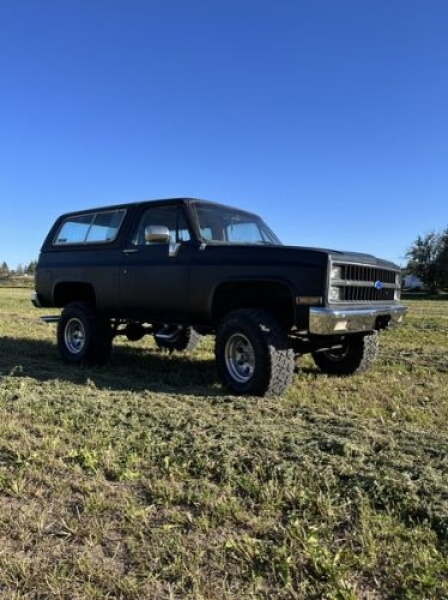 1982 Chevrolet Blazer for sale in Michigan (ID-126315) 1982 Chevrolet Blazer for sale in Michigan (ID-126315)