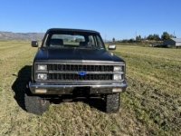 1982 Chevrolet Blazer for sale in Michigan (ID-126315)