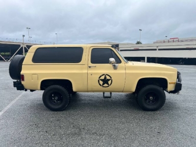 1982 Chevrolet Blazer for sale in Michigan