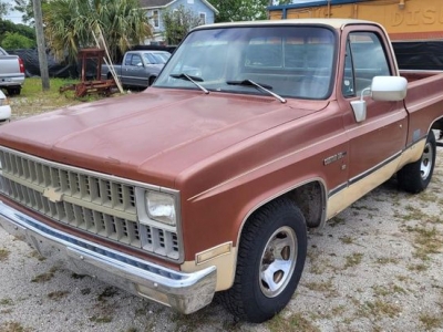 1982 Chevrolet C10 for sale