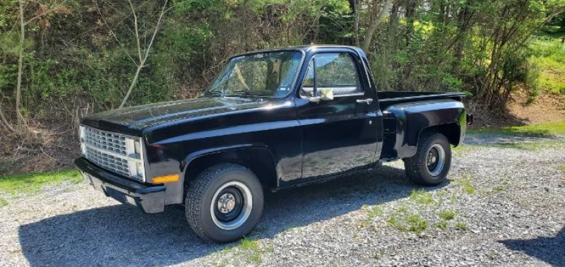 1982 Chevrolet C10 for sale in Michigan (ID-98596)