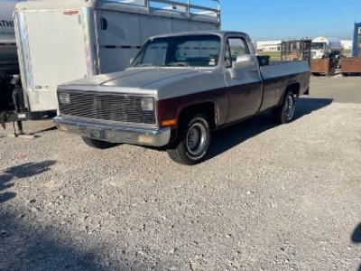 1982 Chevrolet C10 for sale